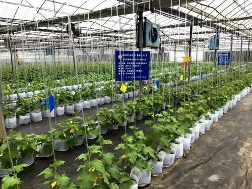 蘇州市首張食用農產品電子合格證在常熟啟用，推動零售食品安全監管升級