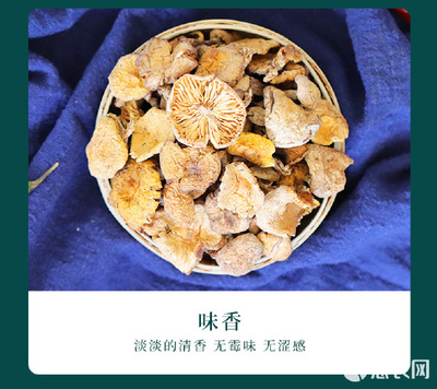 鮮遇長白山東北小黃蘑 野趣入廚，餐桌上的山珍之選